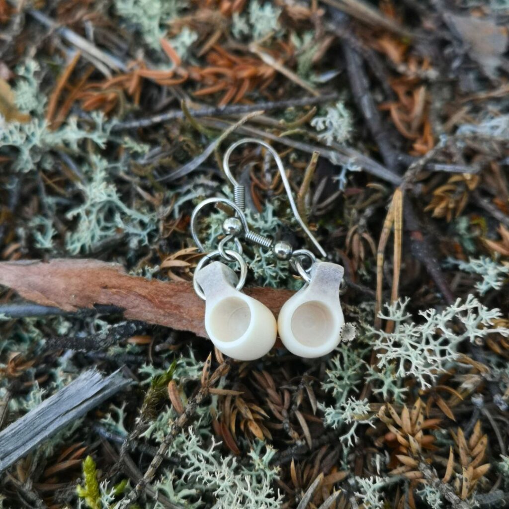 kuksa-korvakorut maassa jäkälän ja havunneulasten päällä